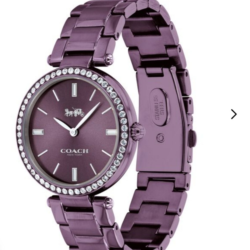 Purple Coach Park Watch